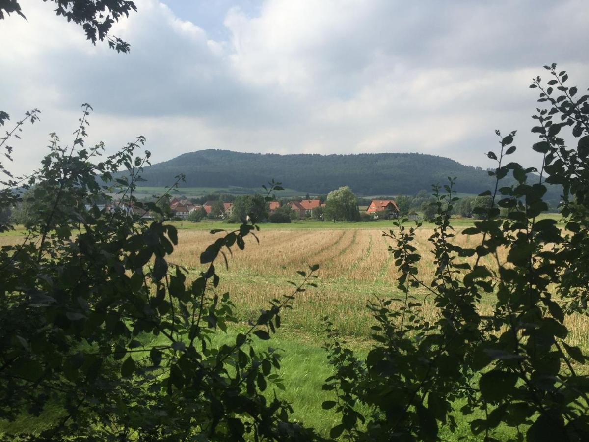 Modern Holiday Home Near River In Amelgatzen Emmerthal エクステリア 写真