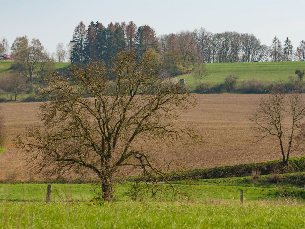 Modern Holiday Home Near River In Amelgatzen Emmerthal 部屋 写真
