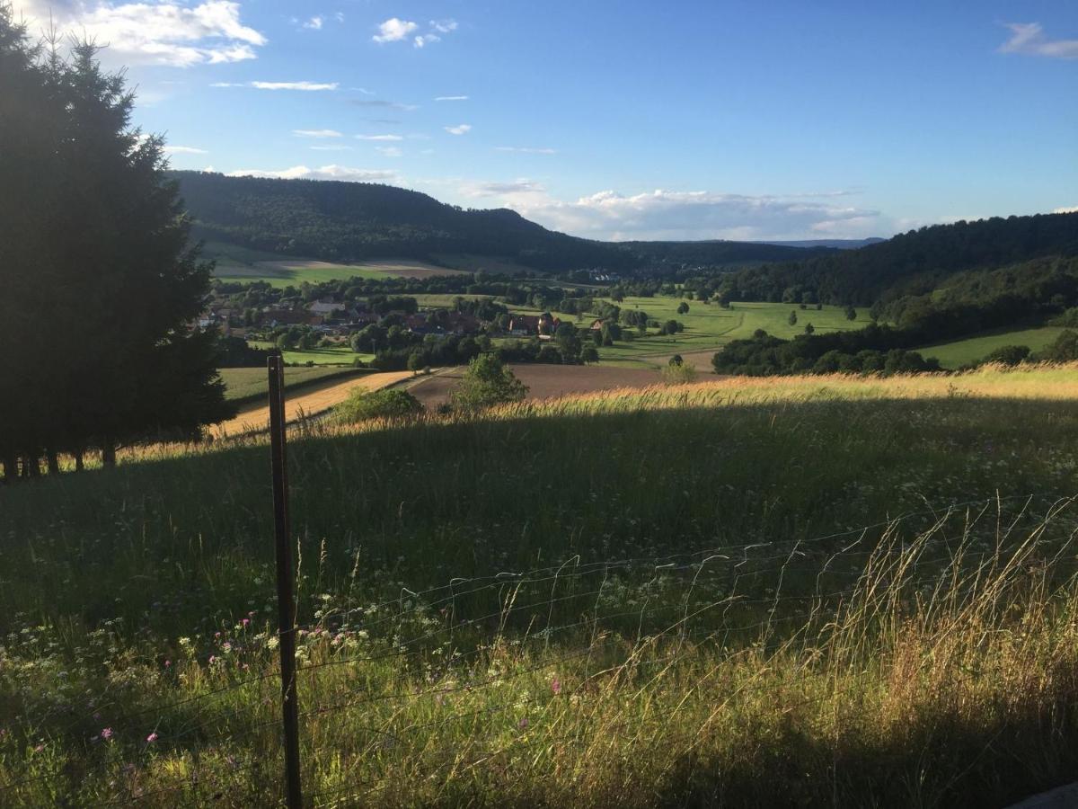 Modern Holiday Home Near River In Amelgatzen Emmerthal 部屋 写真